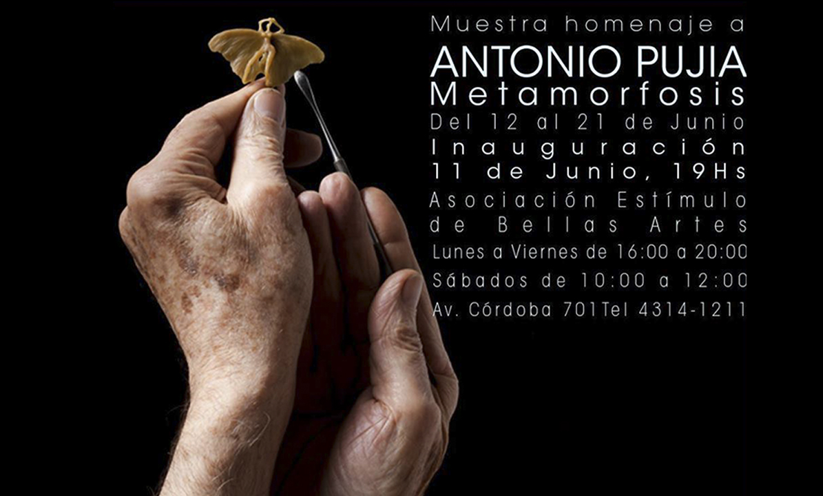 Imperdible “Metamorfosis” la muestra homenaje al artista Antonio Pujia