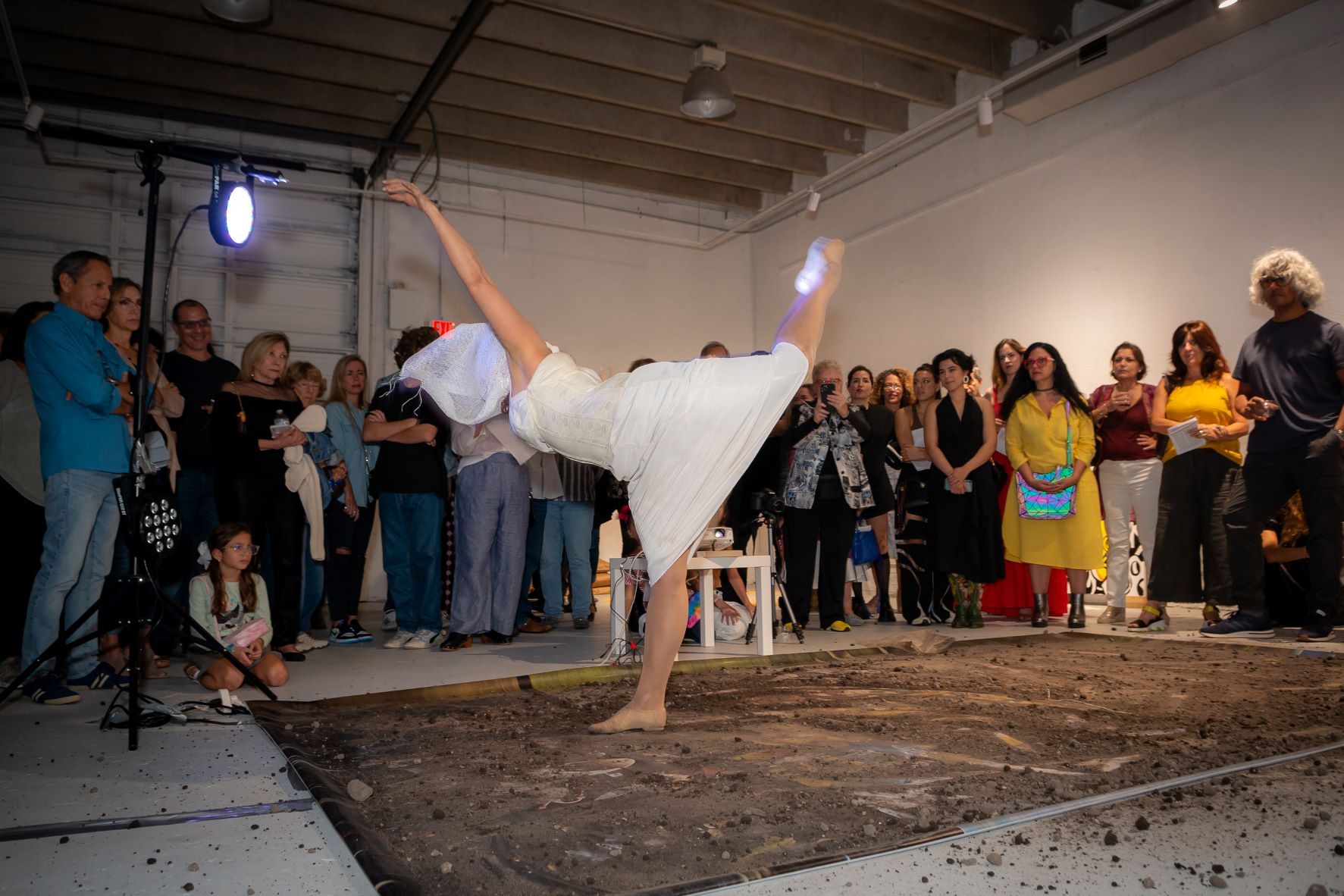 Metafluxus se exhibe en la galería I.D. Art Lab de Miami